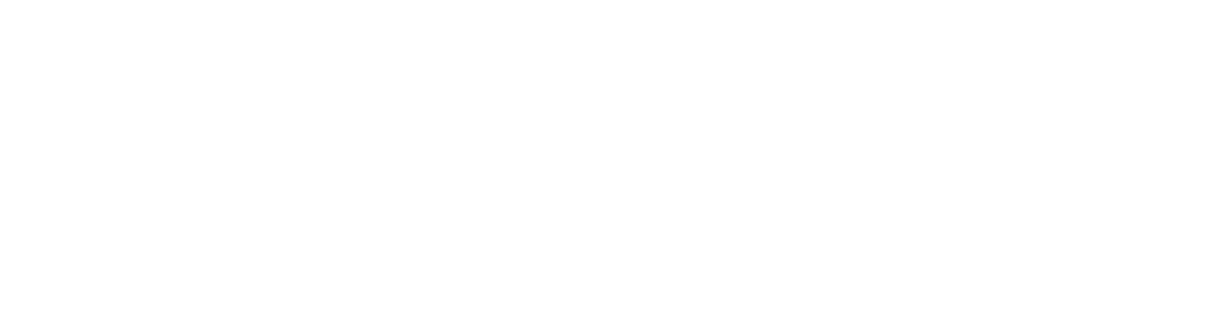 KPN Mobile phone network